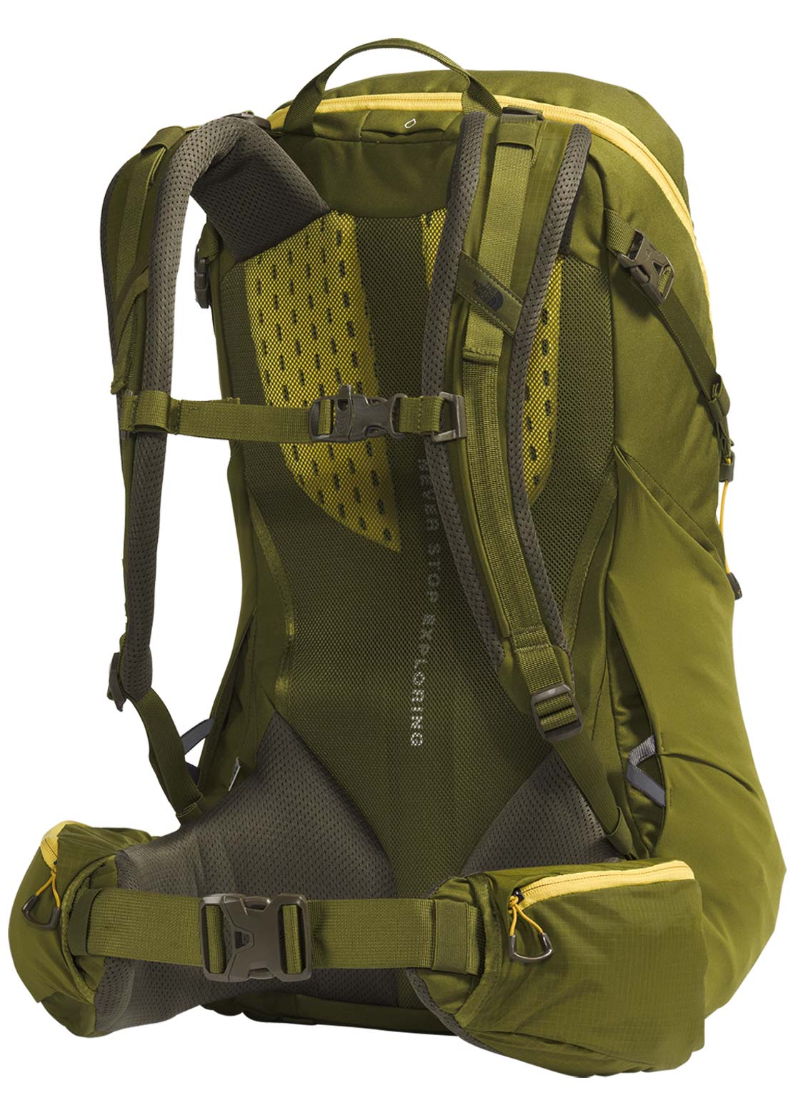 The North Face Men's Terra 40 Backpack TNF Forest Olive/New Taupe Green-NPF