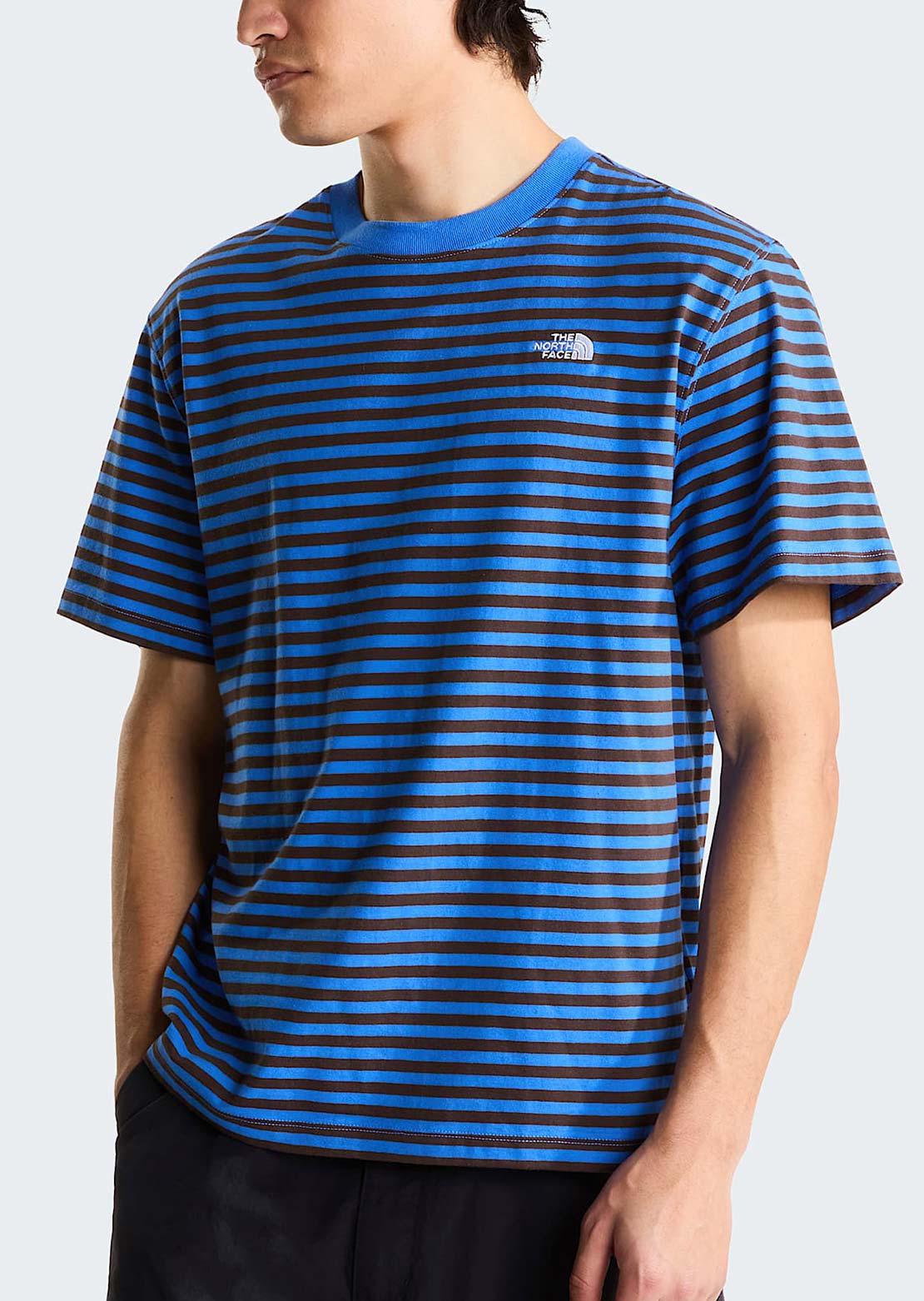The North Face Hommes Vista Stripe T-Shirt