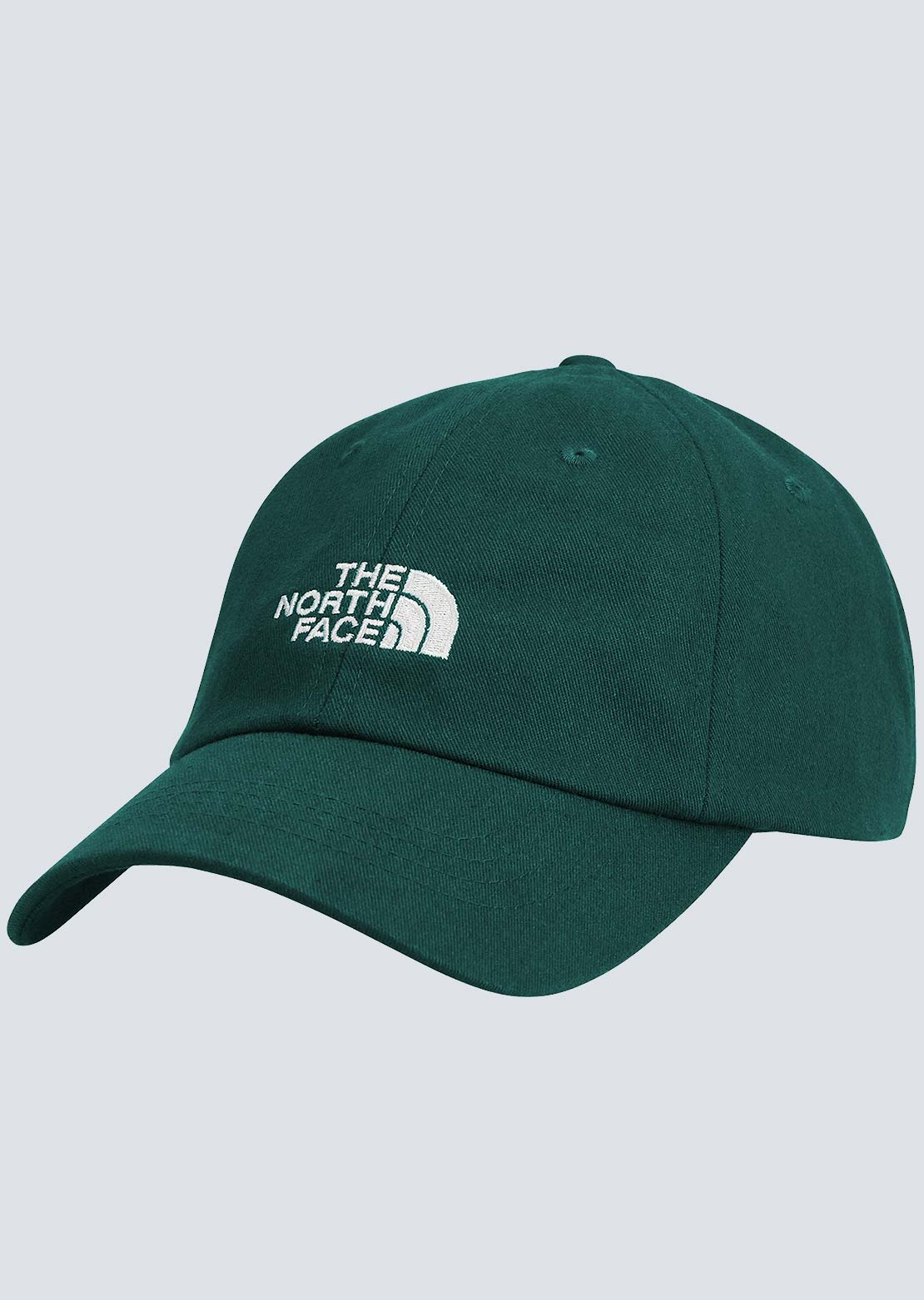 The North Face Norm Cap Hunter Green
