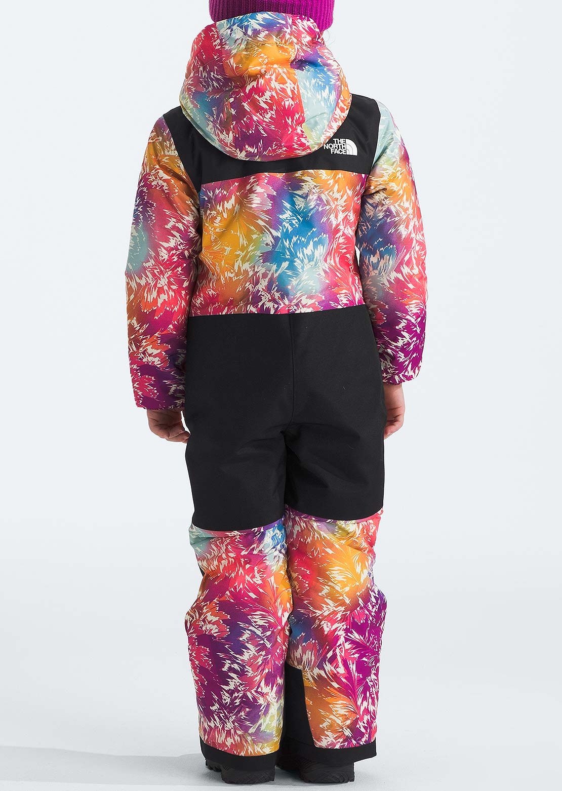 The North Face Toddler Freedom Snow Suit Radiant Poppy Blowing Wind Print