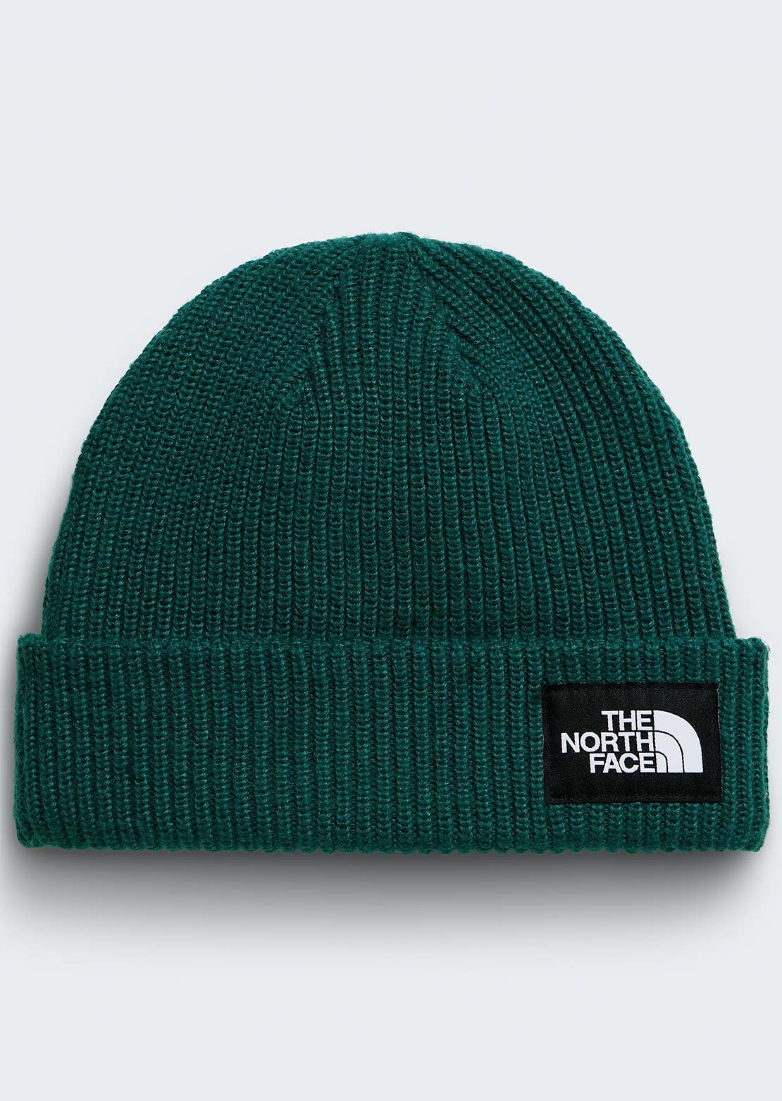 The North Face Unisex Salty Lined Beanie
