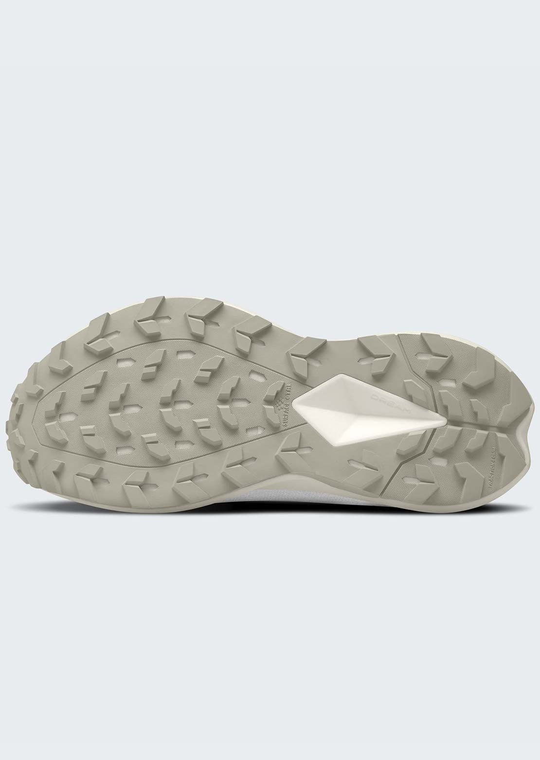The North Face Women's Altamesa 500 V2 Shoes