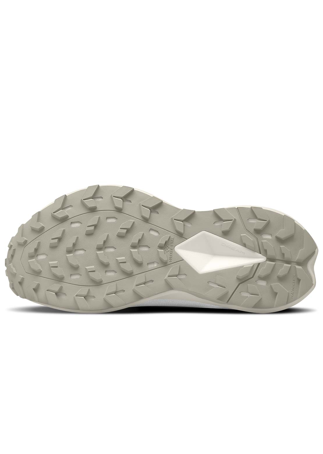 The North Face Women's Altamesa 500 V2 Shoes