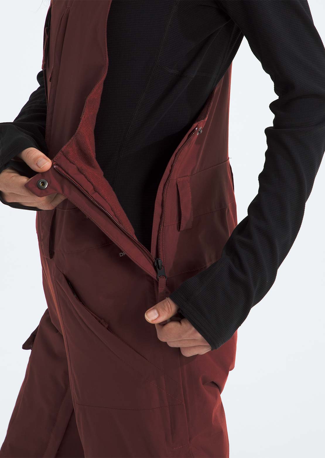The North Face Women's Freedom Insulated Bib Pants Sumac