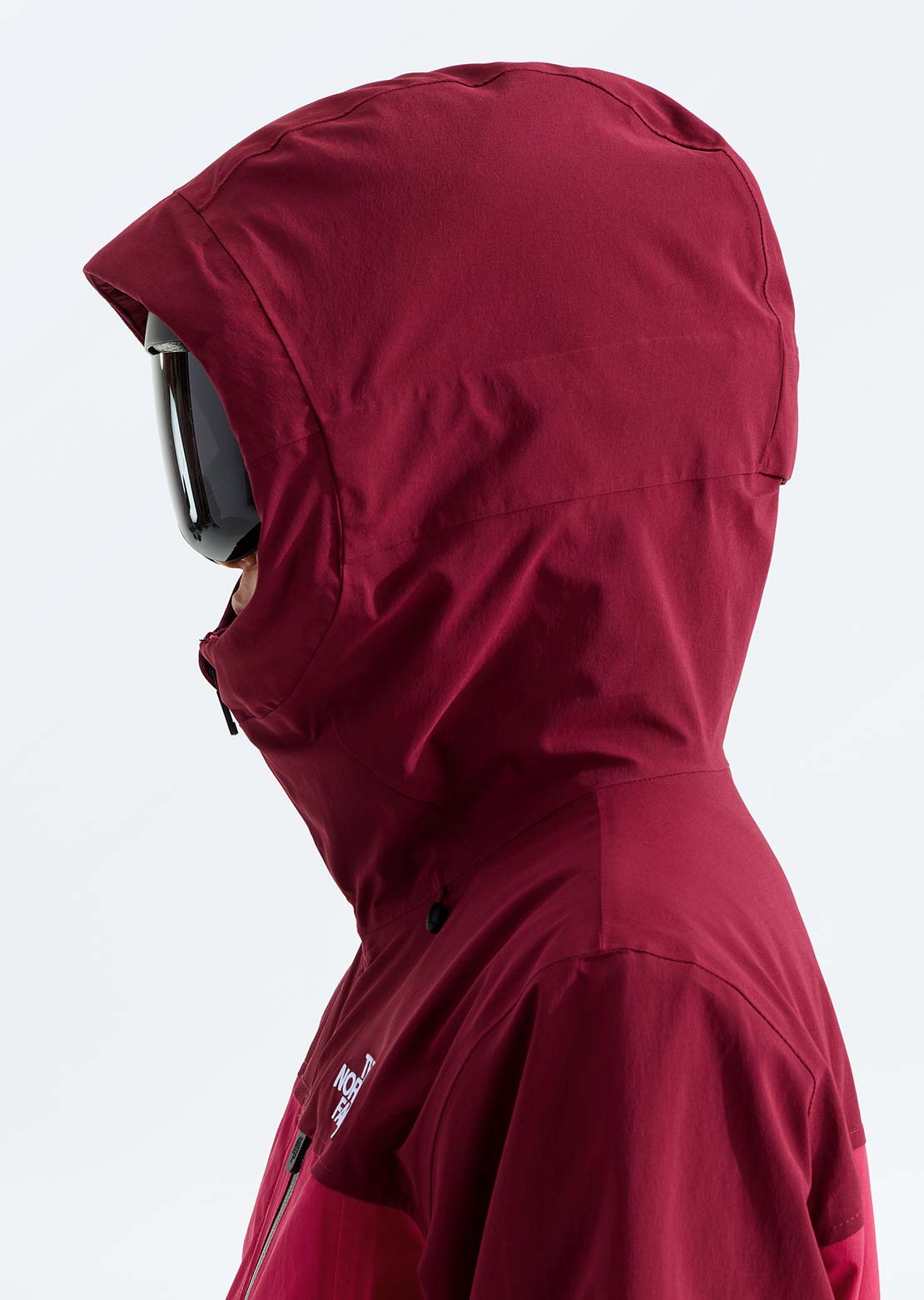 The North Face Women's Freedom Insulated Jacket