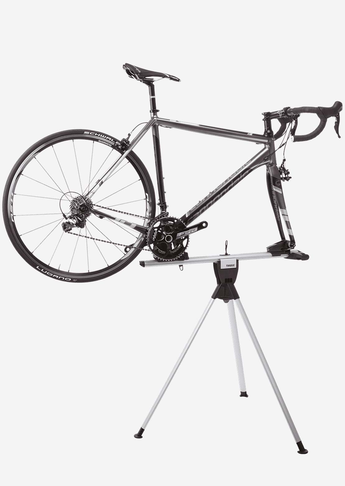 Thule RoundTrip Transition