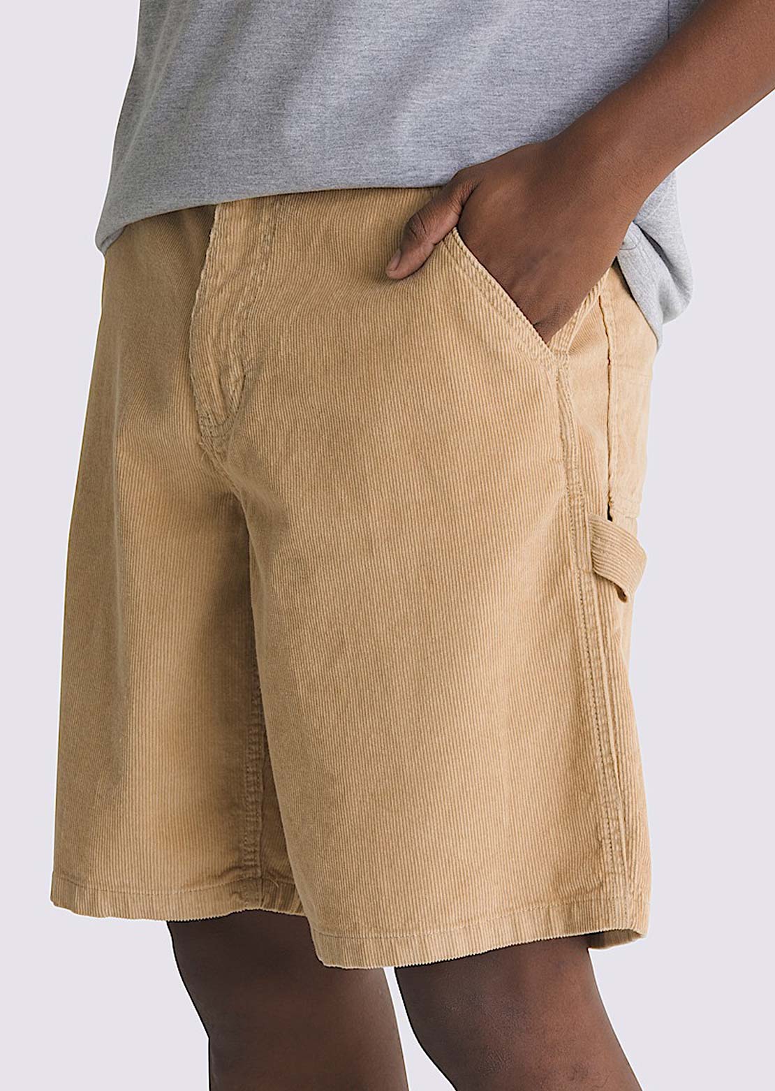 Vans Men's Drill Chore Loose Carpe Pants Incense