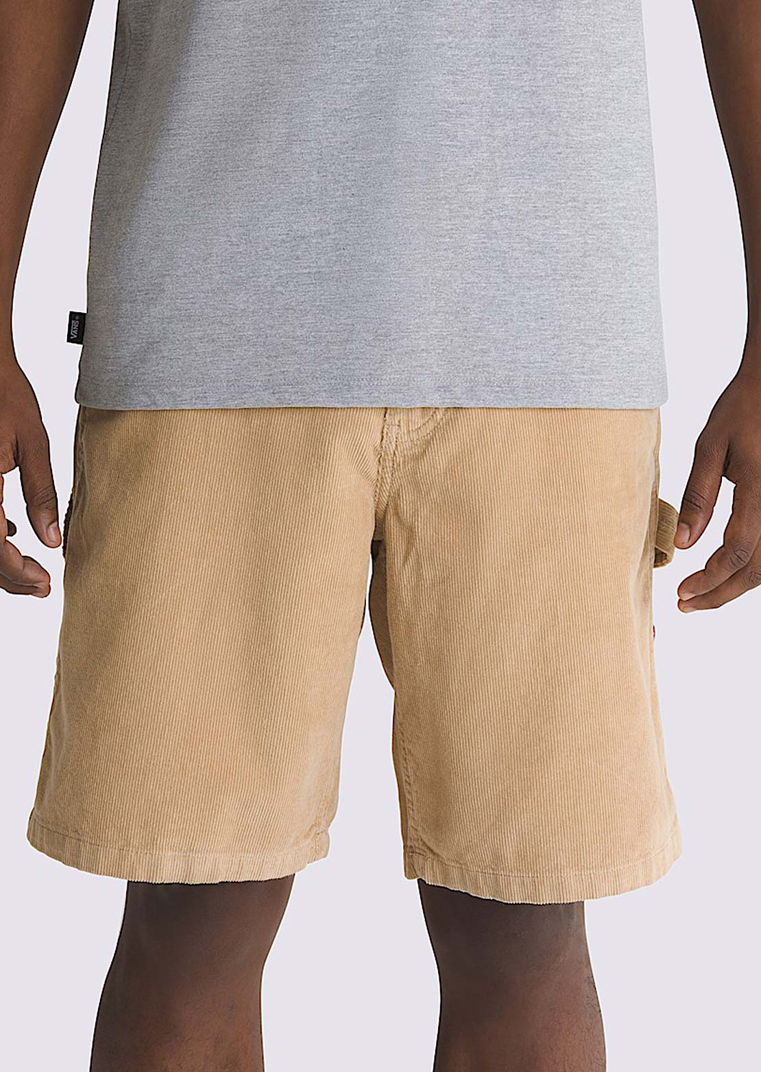 Vans Men's Drill Chore Loose Carpe Pants Incense