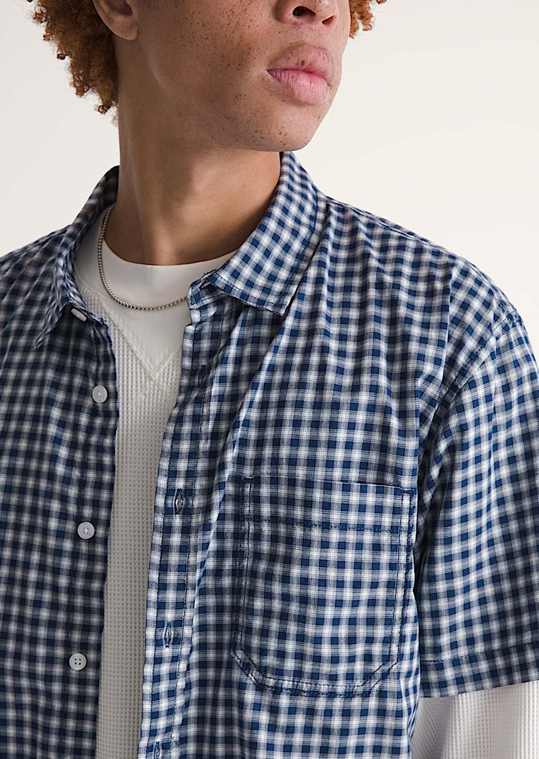 Vans Men's Larkspur Mini Plaid Button Up Shirt - PRFO Sports