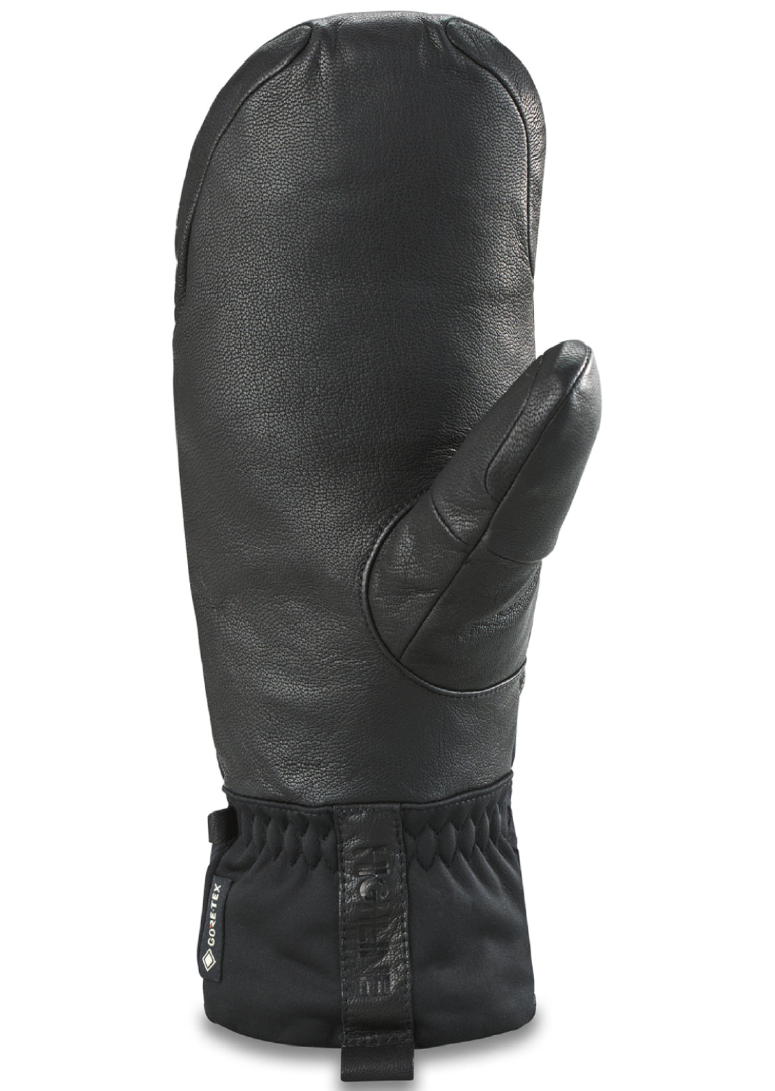 Dakine Men's Baron Gore-Tex Mitts - PRFO Sports