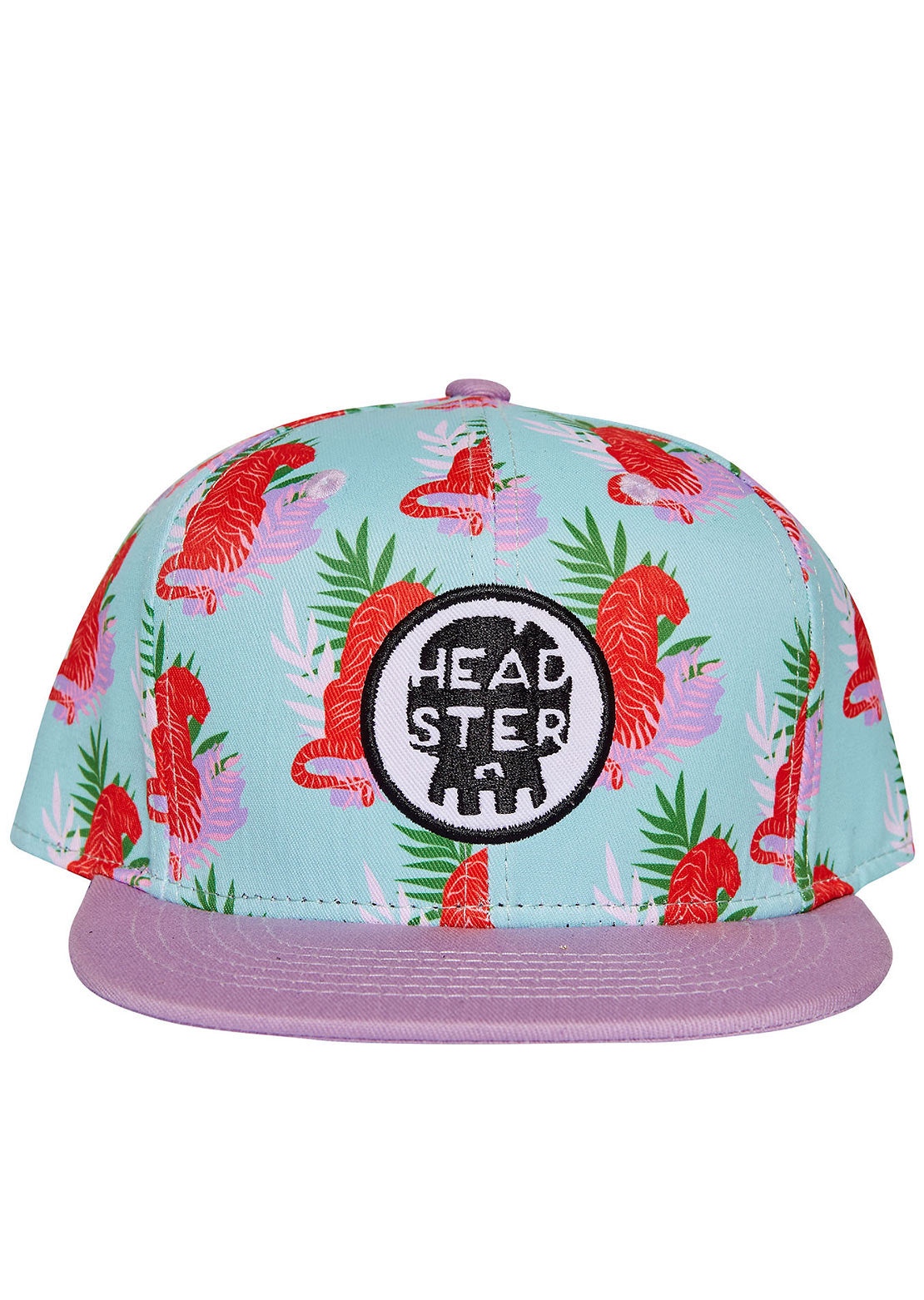 Headster Junior Eye Of The Tiger Snapback Cap Foamy Green