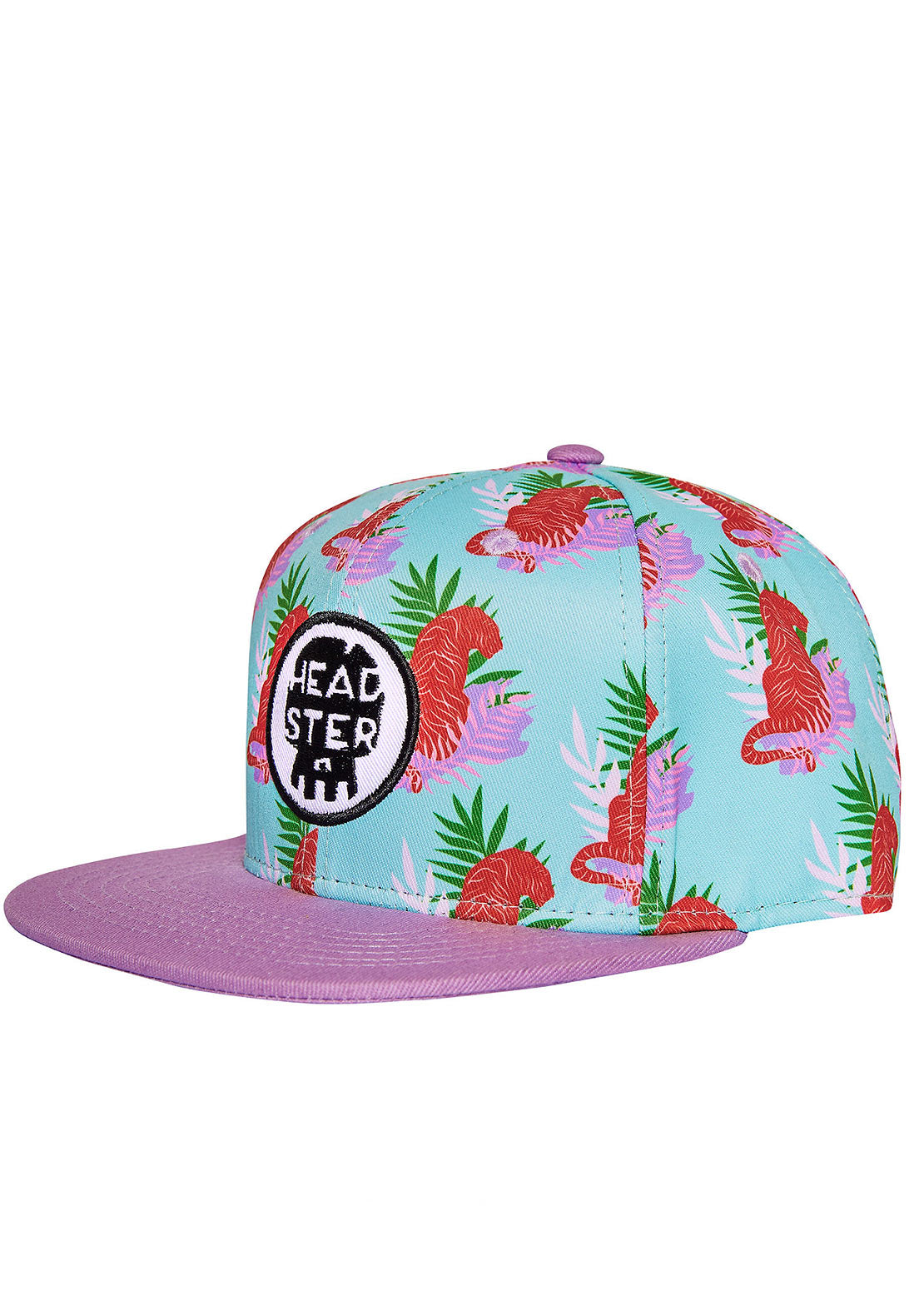 Headster Junior Eye Of The Tiger Snapback Cap Foamy Green