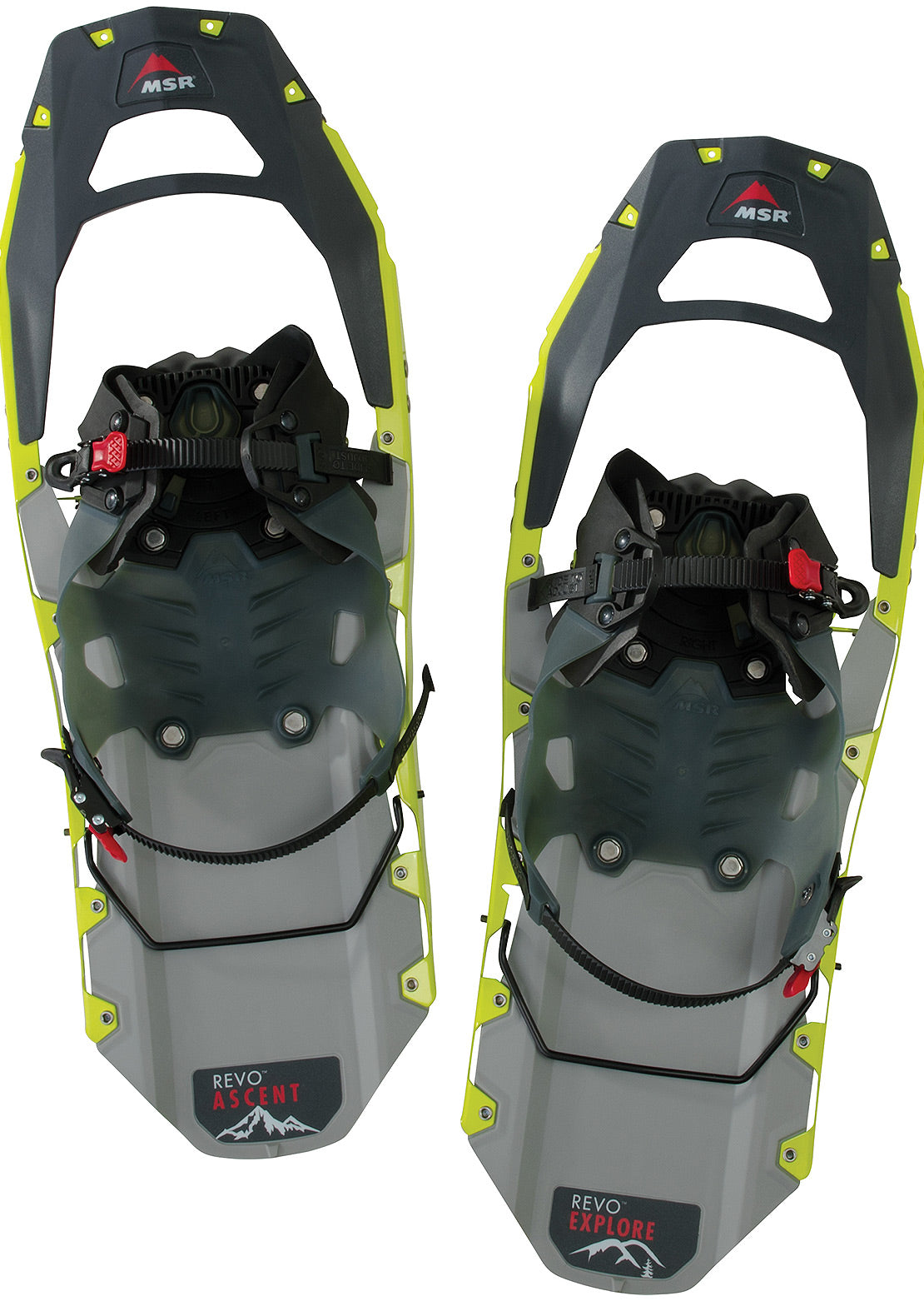 MSR Men&#39;s Revo Explore Snowshoes Chartreuse 22 in