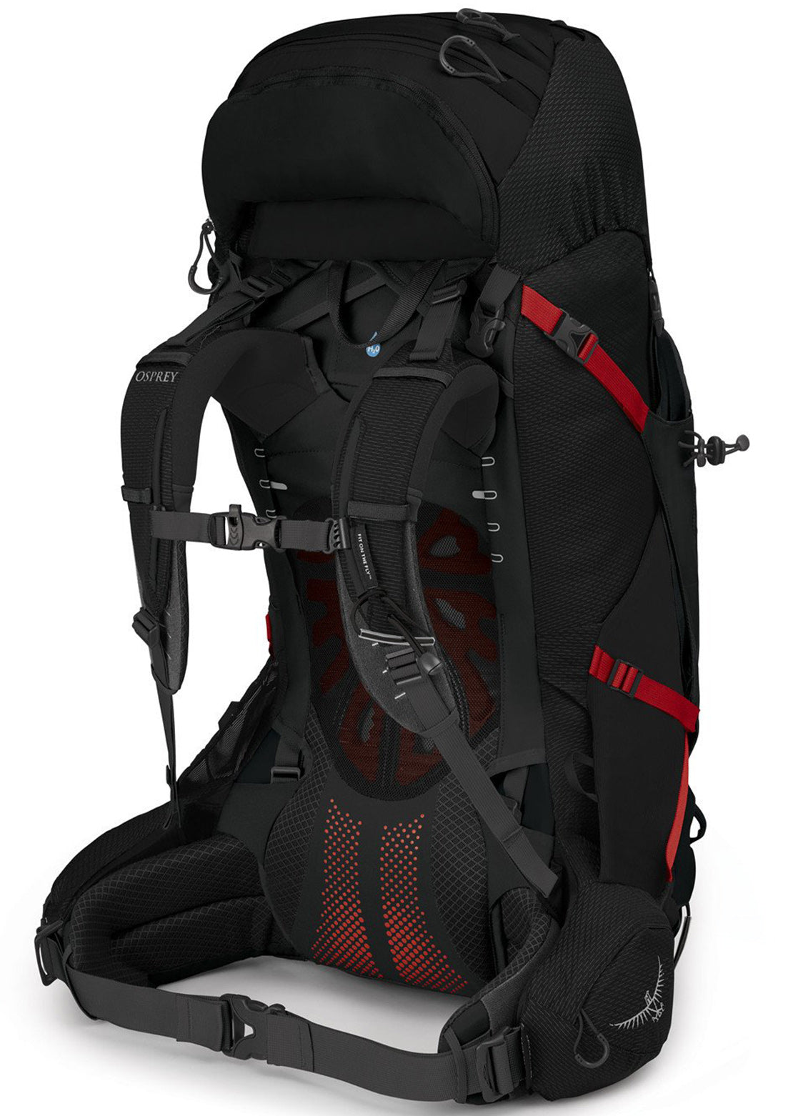 Osprey Men&#39;s Aether Plus 60 Backpack Black