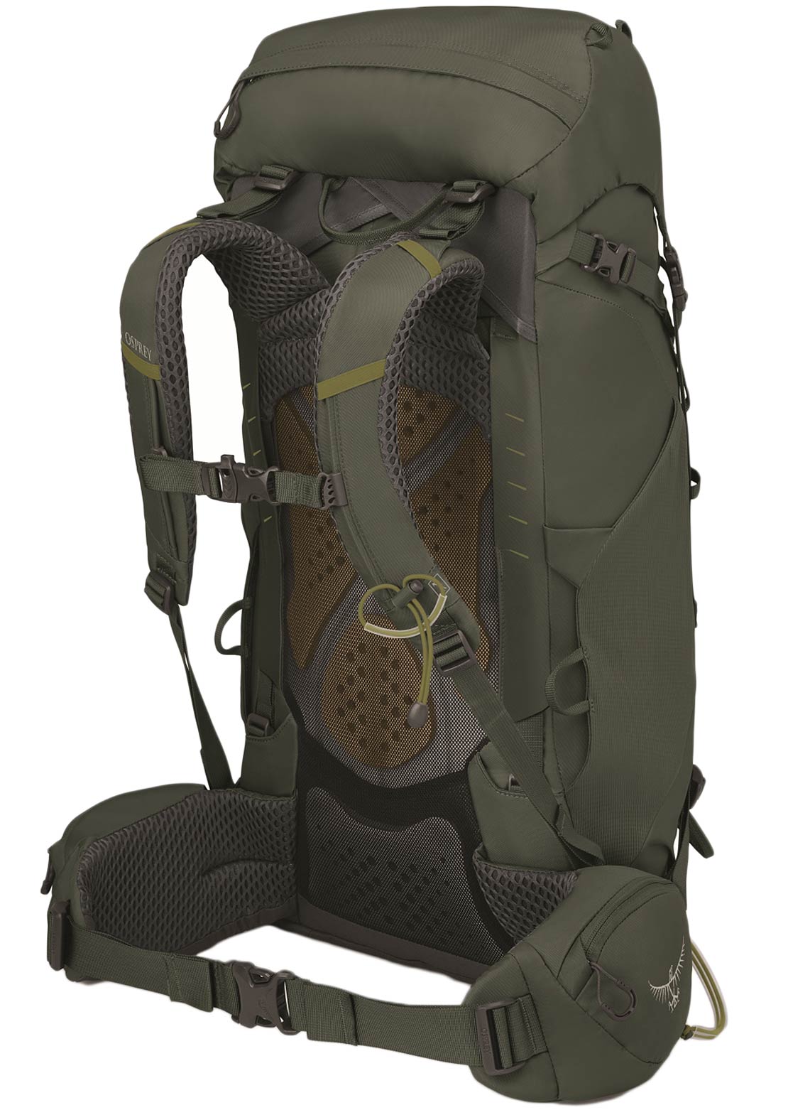 Osprey Men's Kestrel 38 Hiking Backpack Bonsai Green