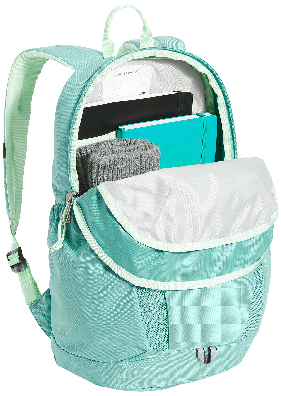 The North Face Junior Mini Recon Backpack Wasabi/Patina Green
