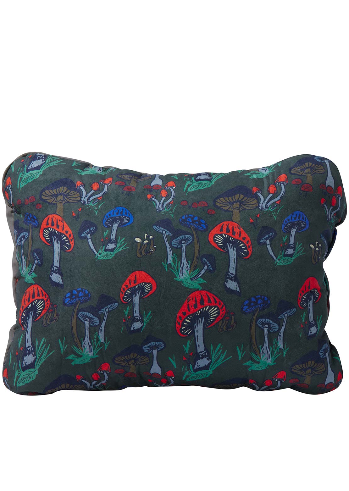Therm-A-Rest Compressible Pillow Cinch Fun Guy